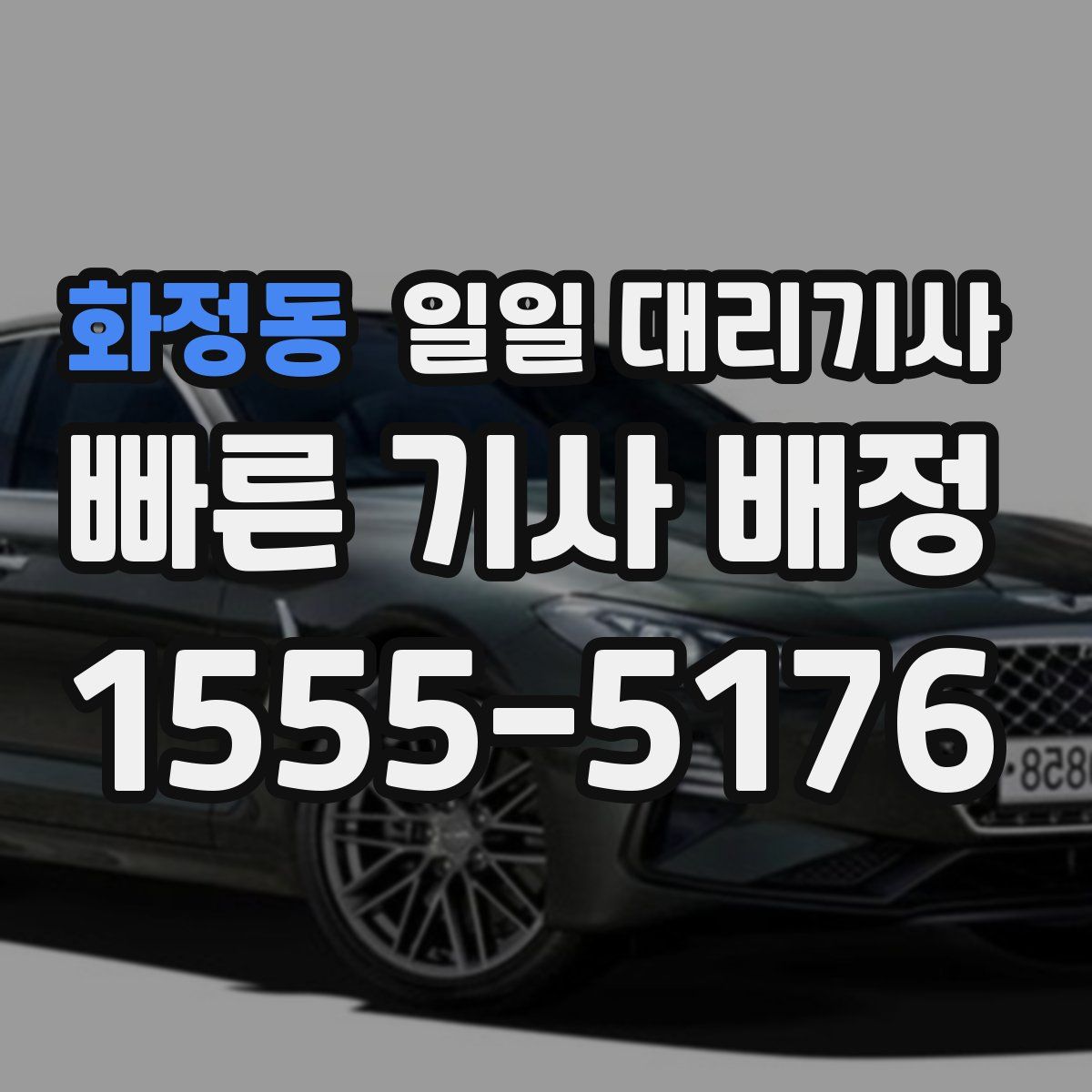 화정동 일일 대리기사