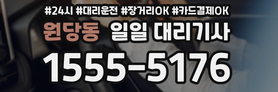 원당동 일일 대리기사