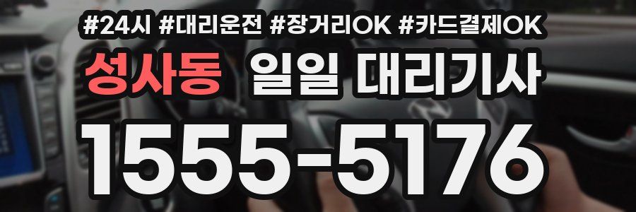 성사동 일일 대리기사
