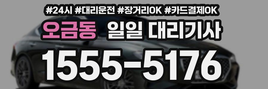 오금동 일일 대리기사