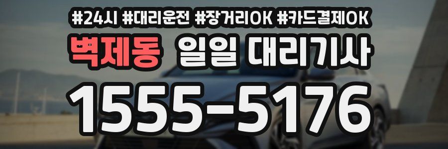 벽제동 일일 대리기사