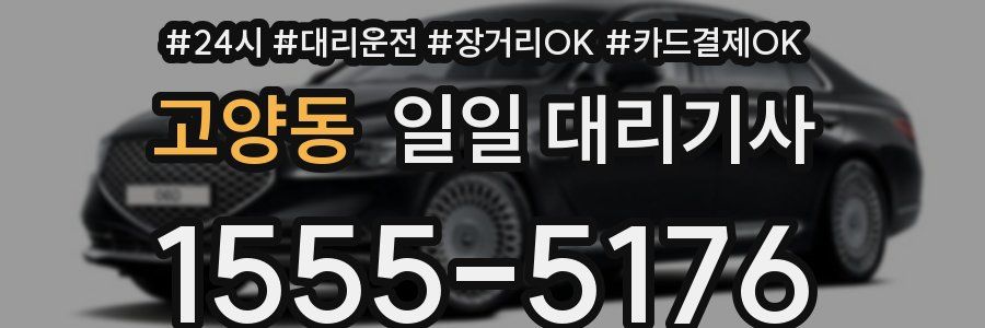 고양동 일일 대리기사