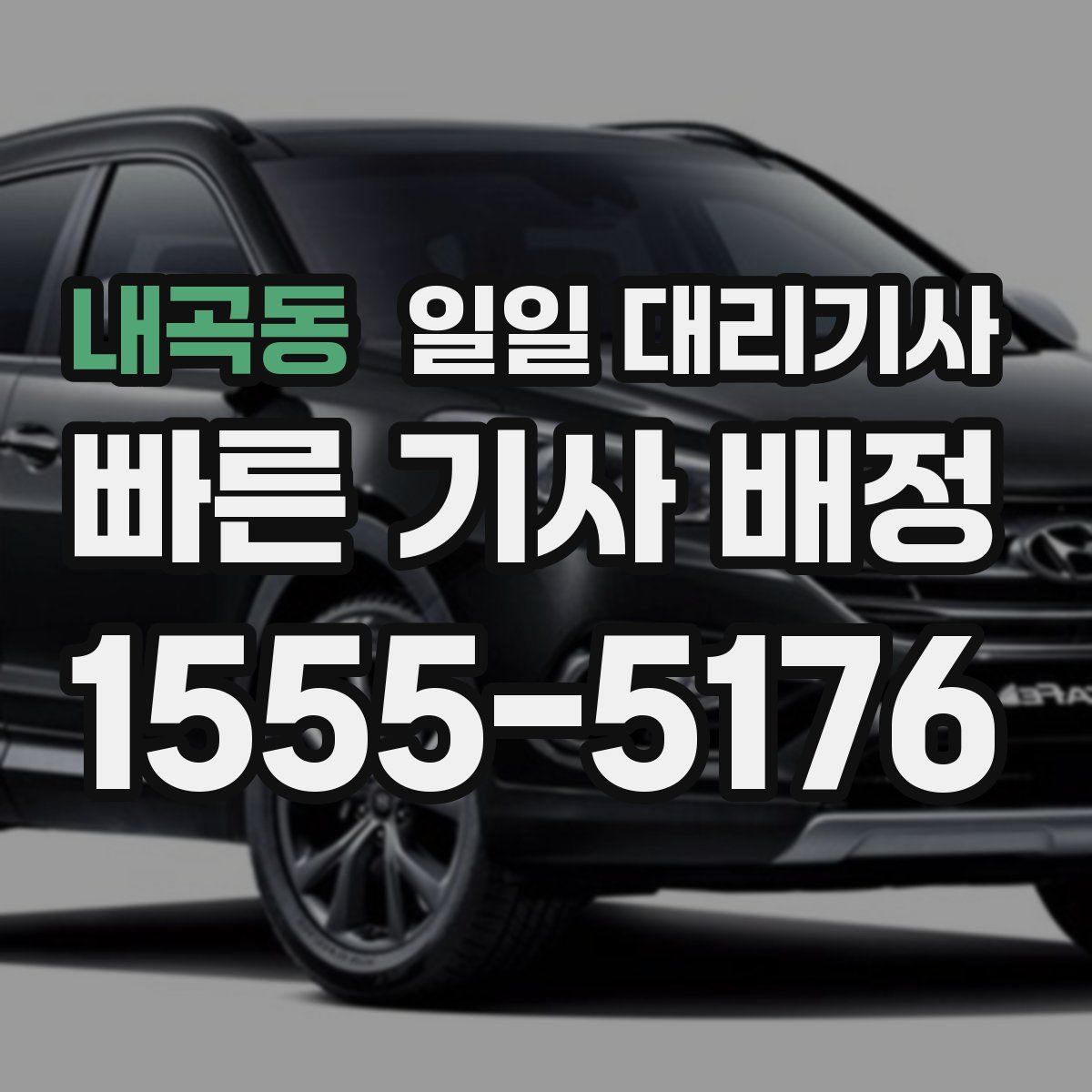 내곡동 일일 대리기사
