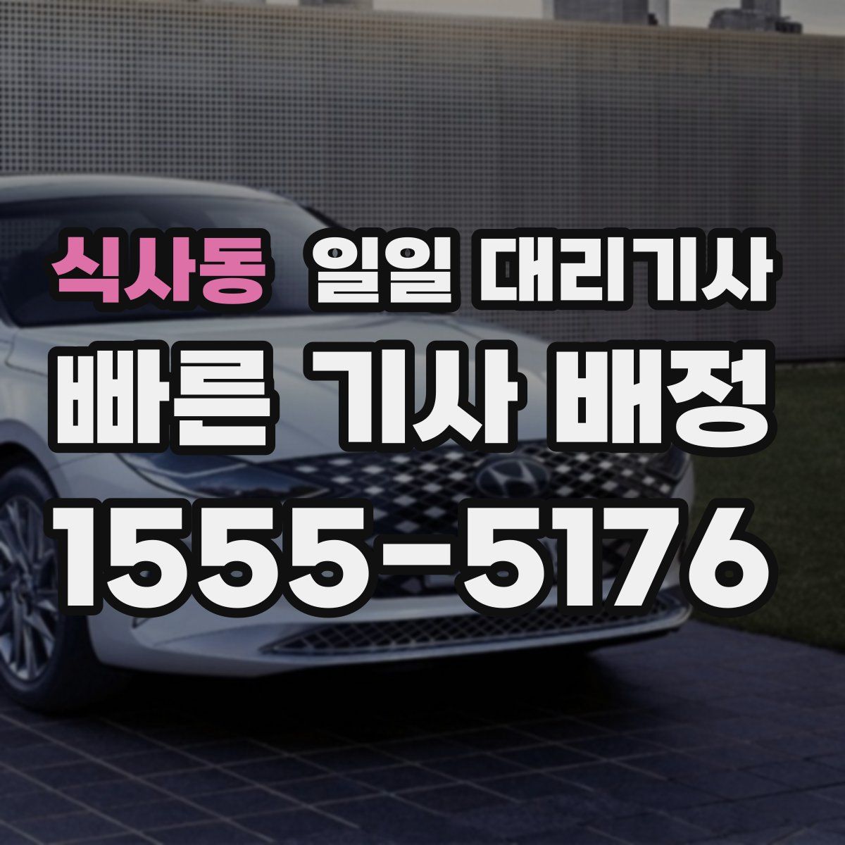 식사동 일일 대리기사