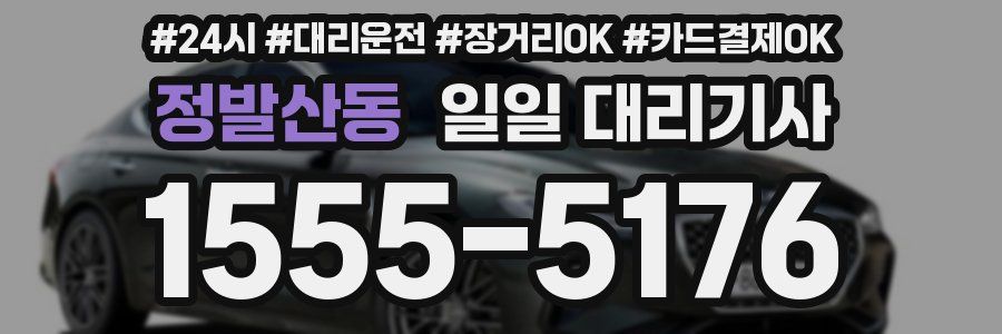 정발산동 일일 대리기사