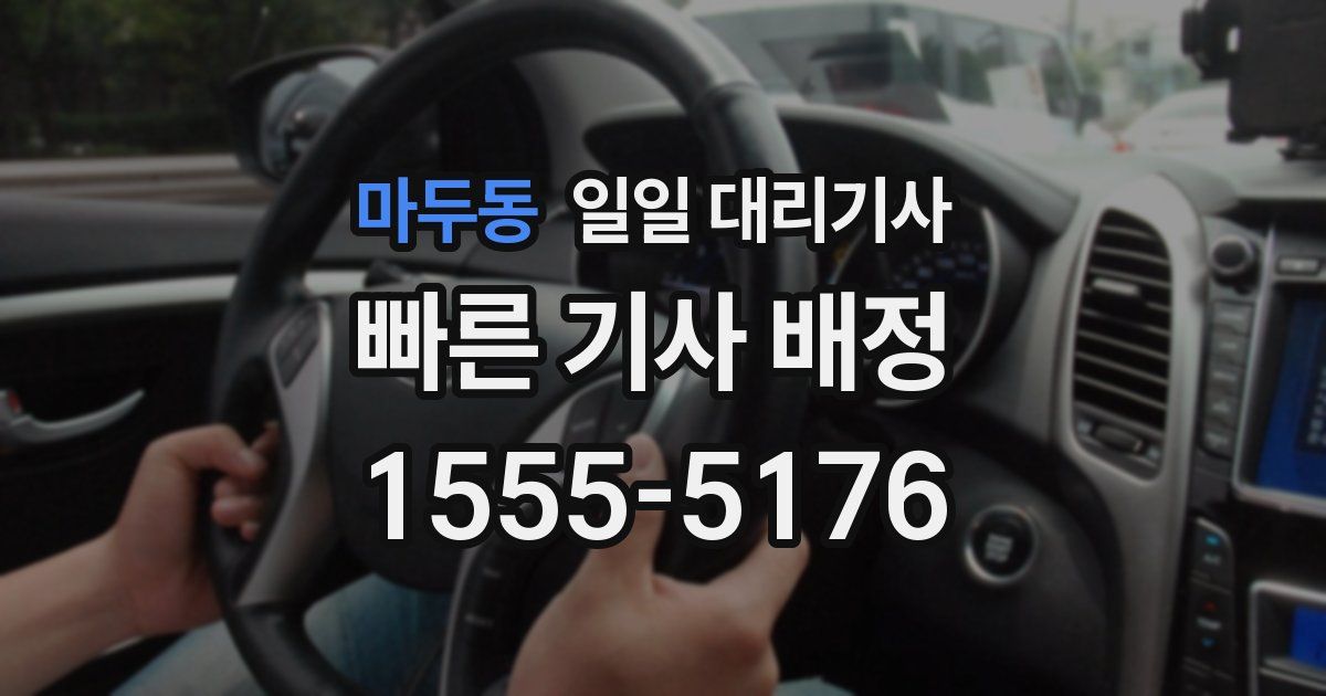 마두동 일일 대리기사