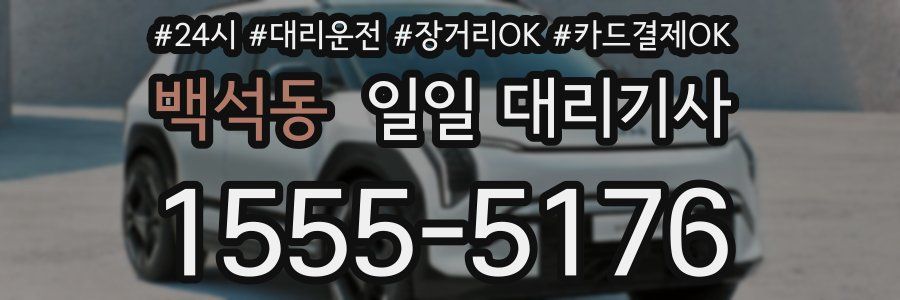 백석동 일일 대리기사