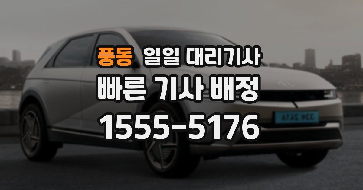 풍동 일일 대리기사