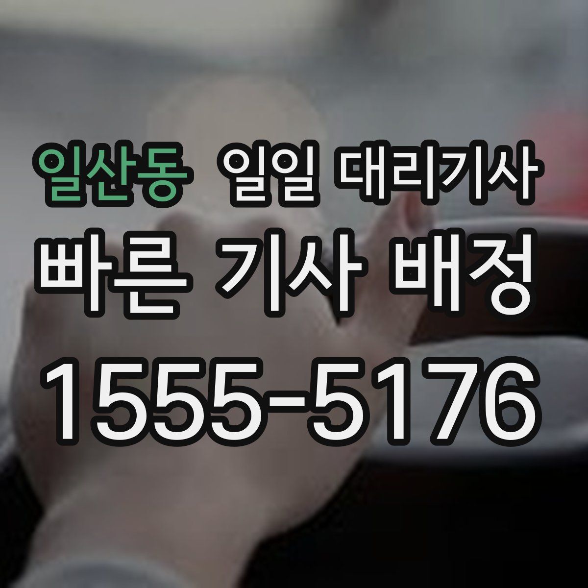 일산동 일일 대리기사