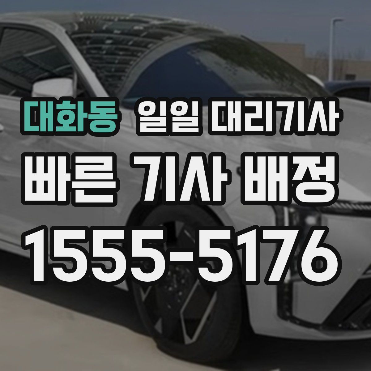 대화동 일일 대리기사