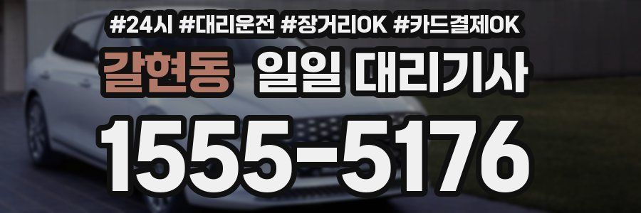 갈현동 일일 대리기사