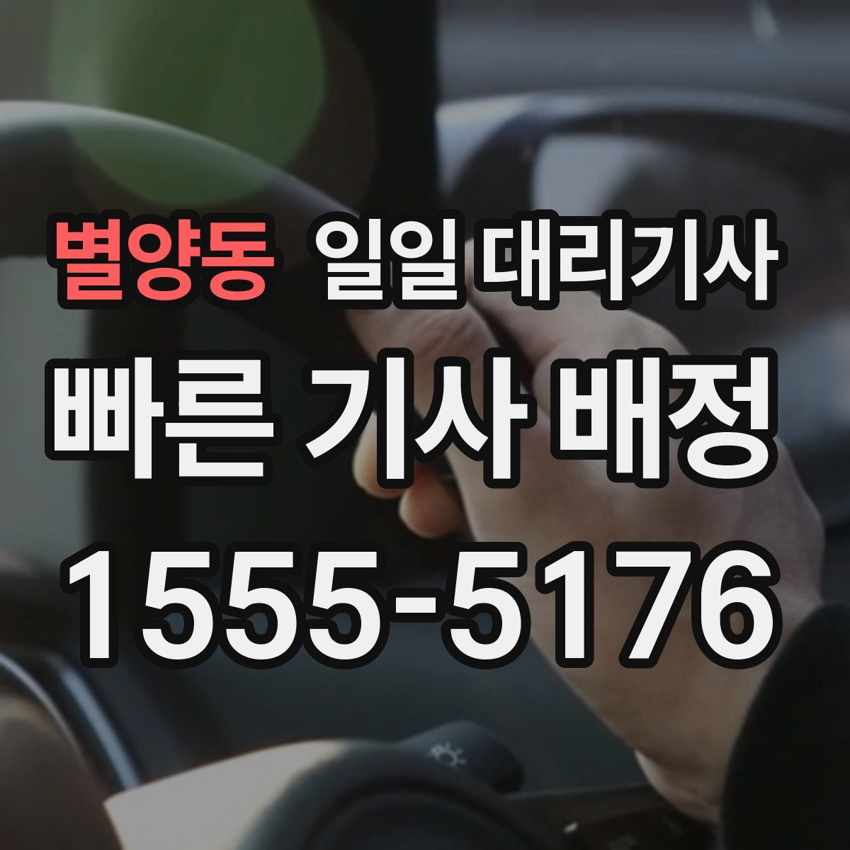 별양동 일일 대리기사
