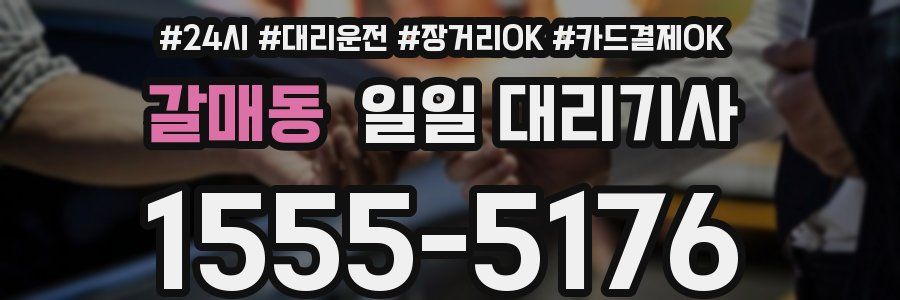 갈매동 일일 대리기사