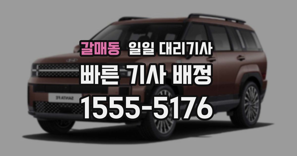 갈매동 일일 대리기사