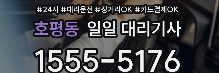 호평동 일일 대리기사