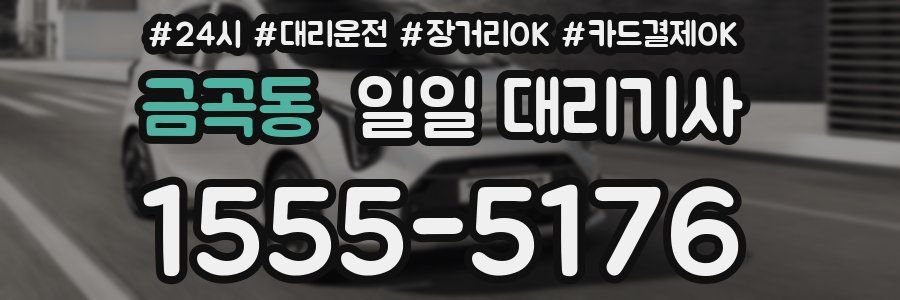금곡동 일일 대리기사