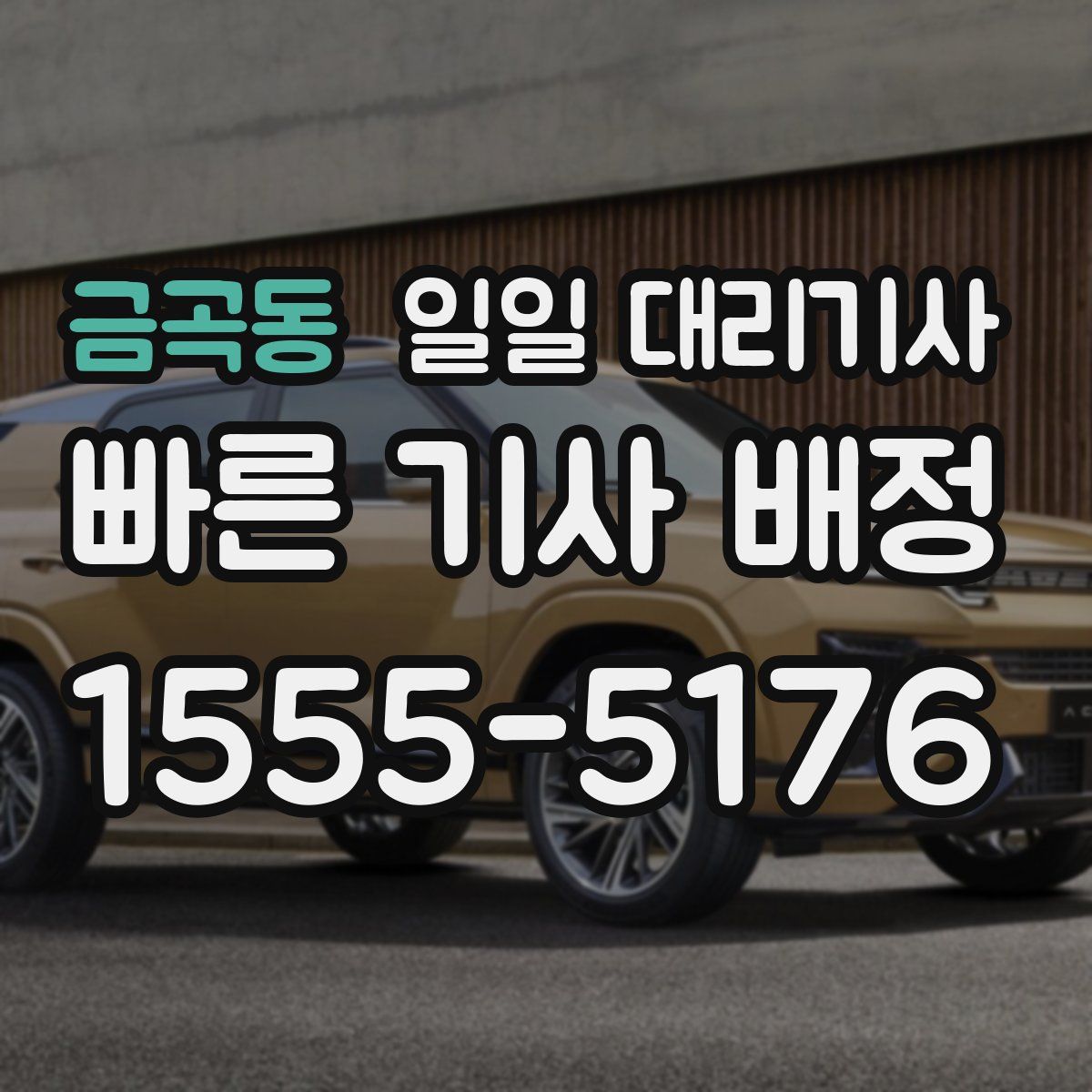 금곡동 일일 대리기사