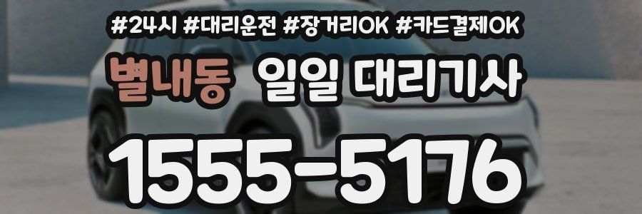 별내동 일일 대리기사