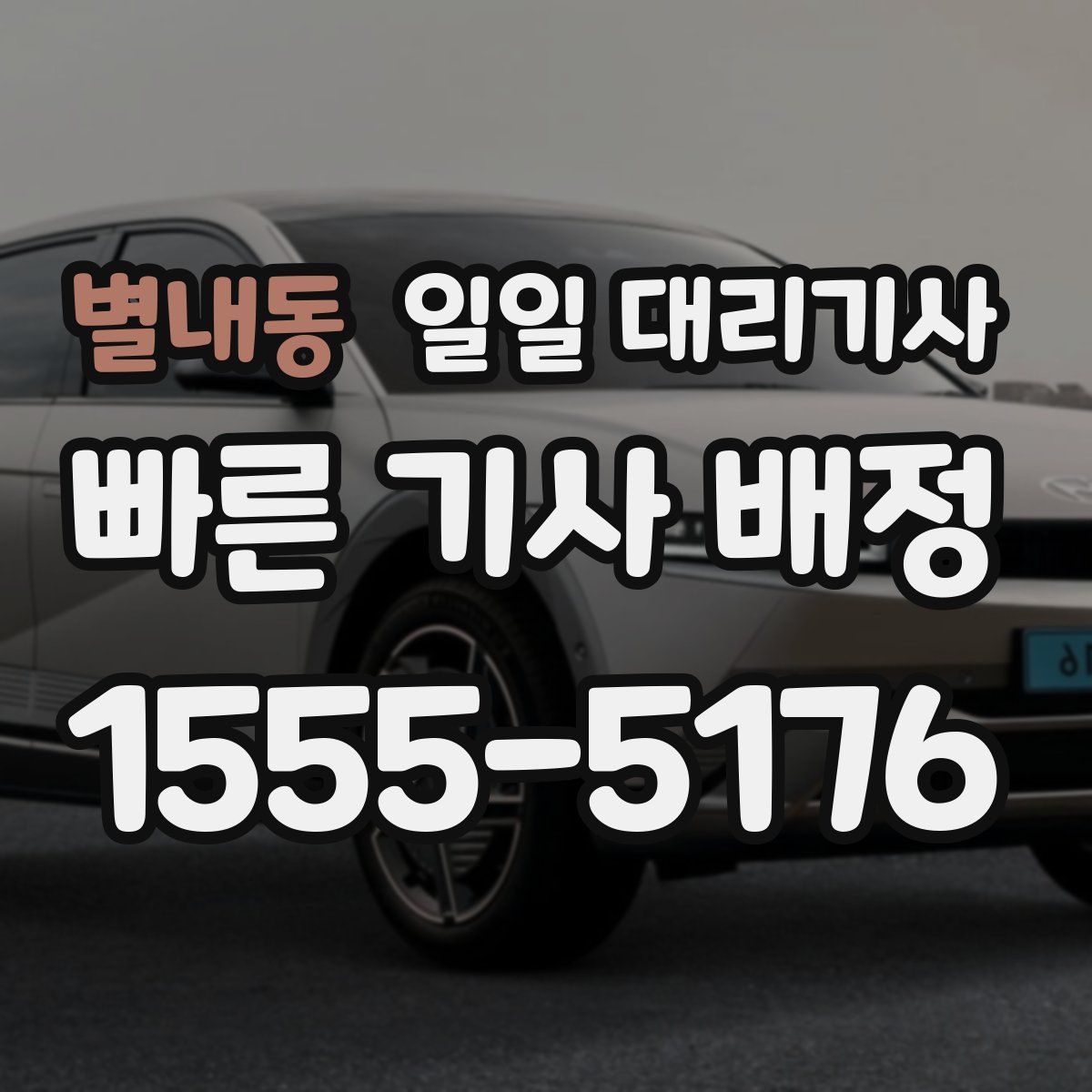 별내동 일일 대리기사