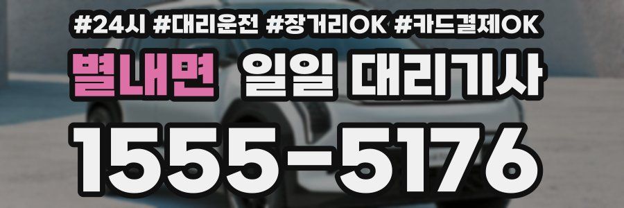 별내면 일일 대리기사