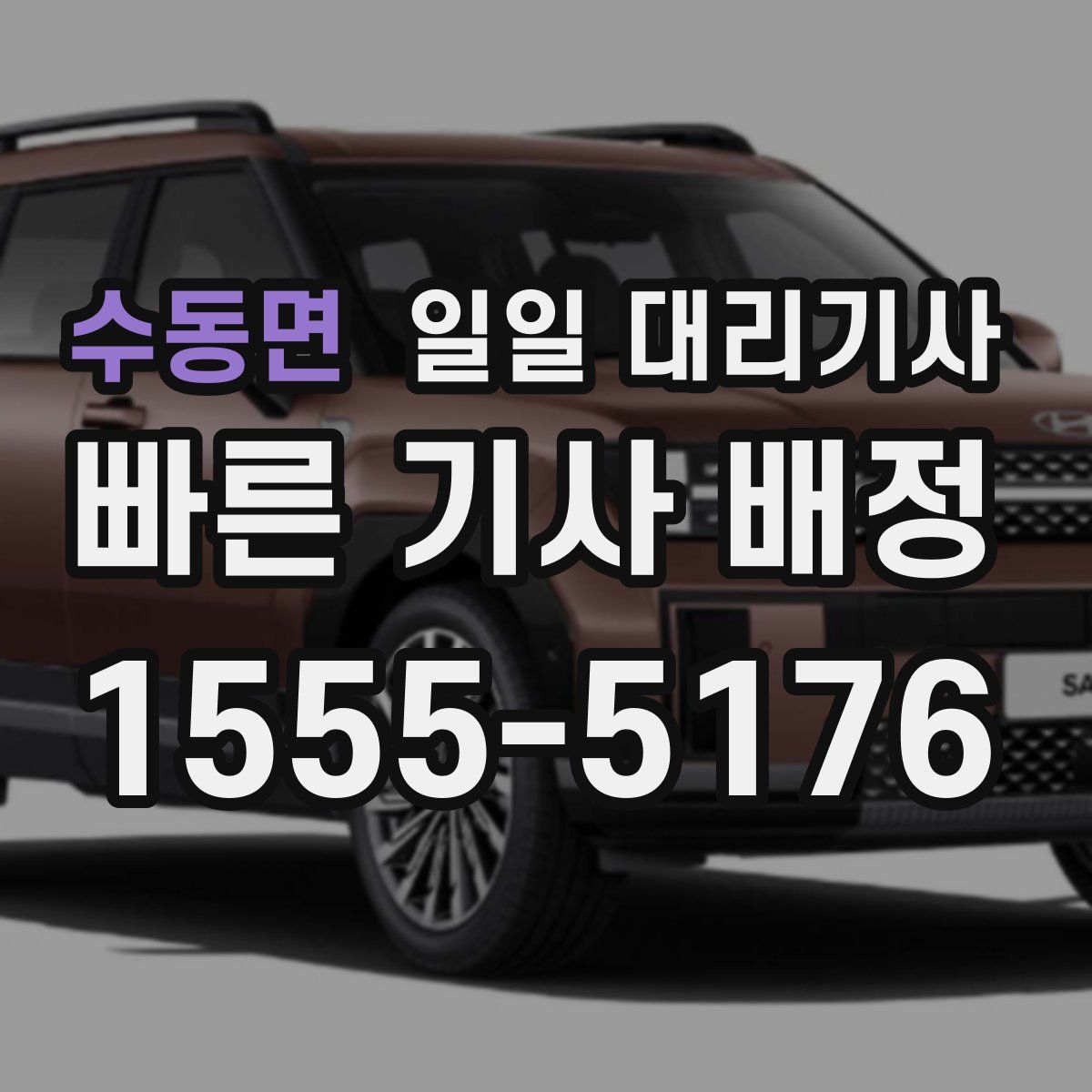 수동면 일일 대리기사