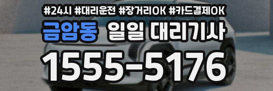 금암동 일일 대리기사