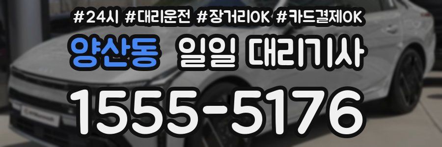양산동 일일 대리기사