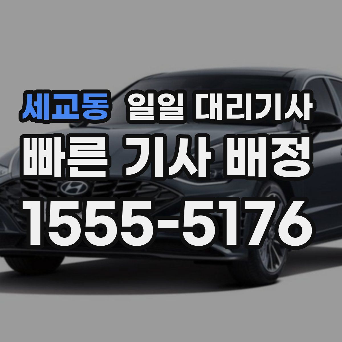 세교동 일일 대리기사