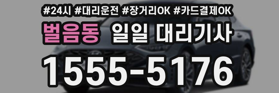벌음동 일일 대리기사