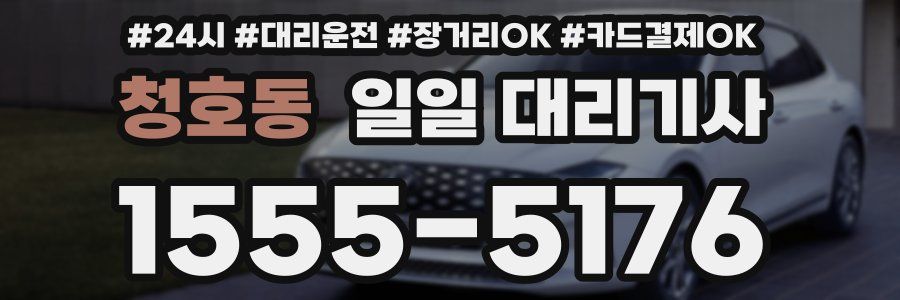 청호동 일일 대리기사
