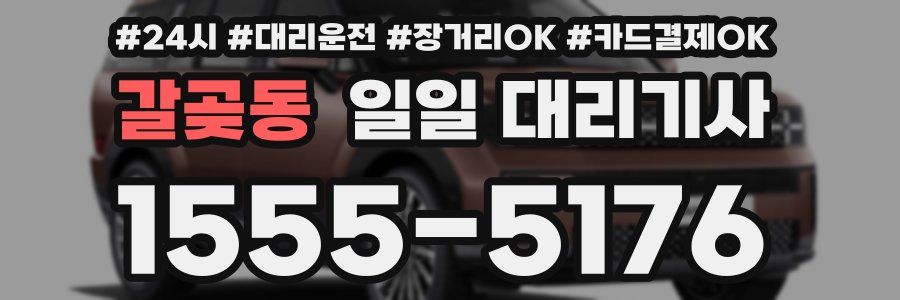 갈곶동 일일 대리기사