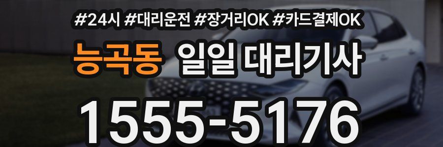 능곡동 일일 대리기사
