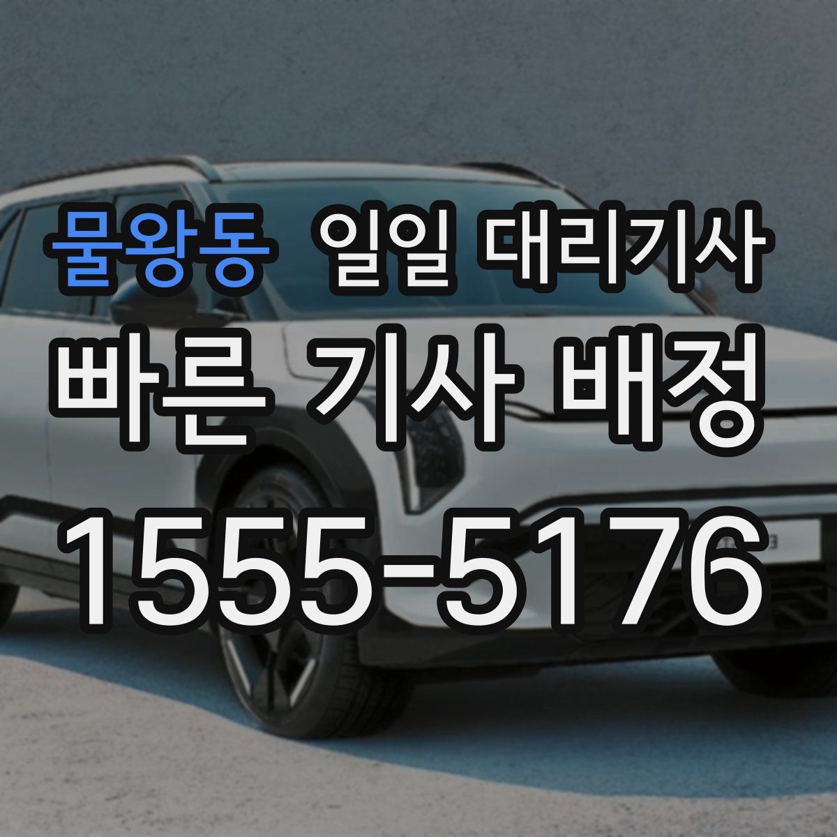 물왕동 일일 대리기사