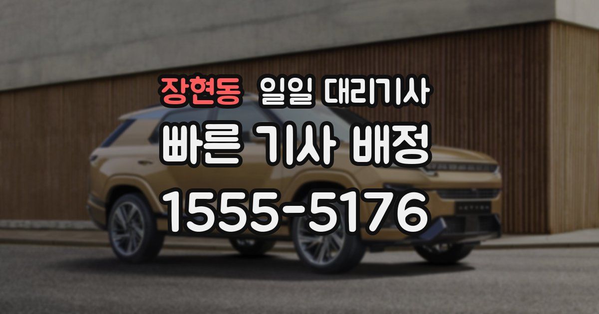 장현동 일일 대리기사