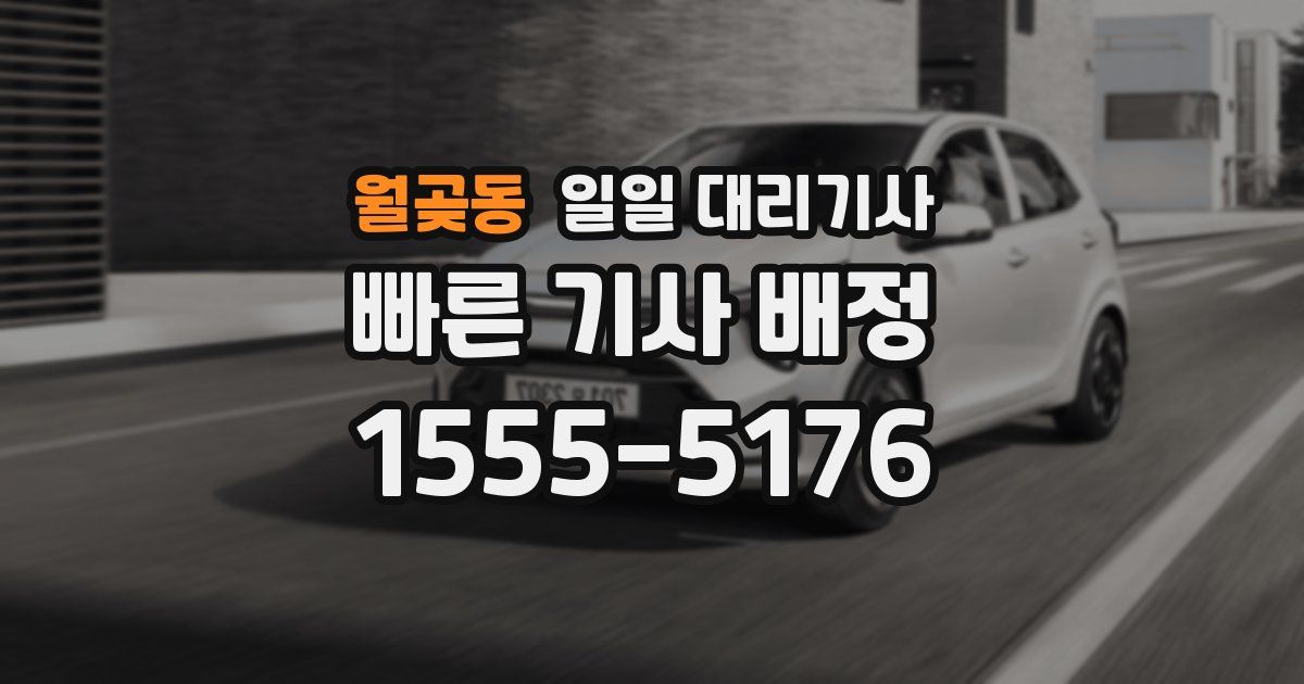 월곶동 일일 대리기사