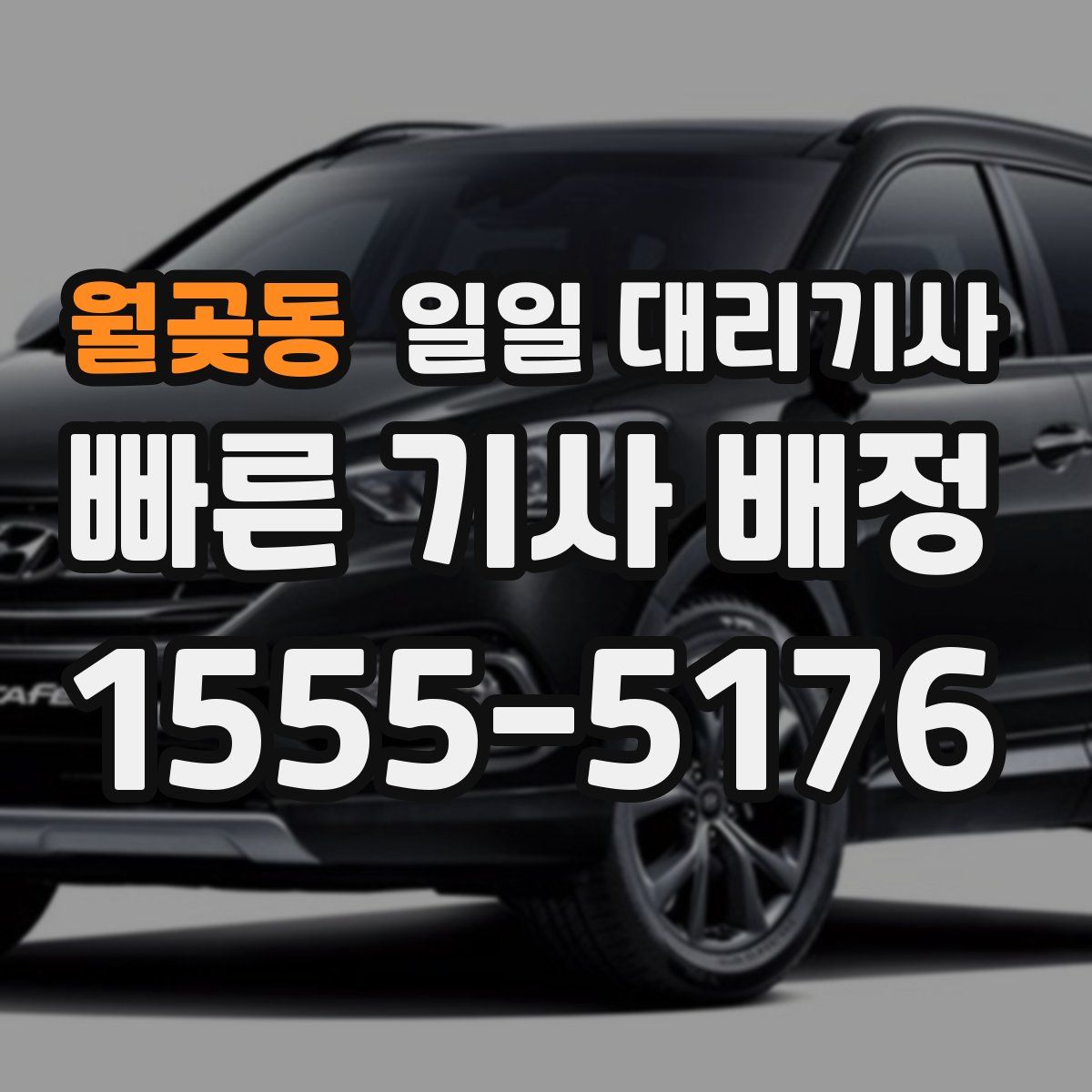월곶동 일일 대리기사