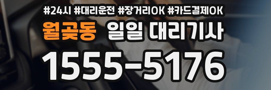 월곶동 일일 대리기사