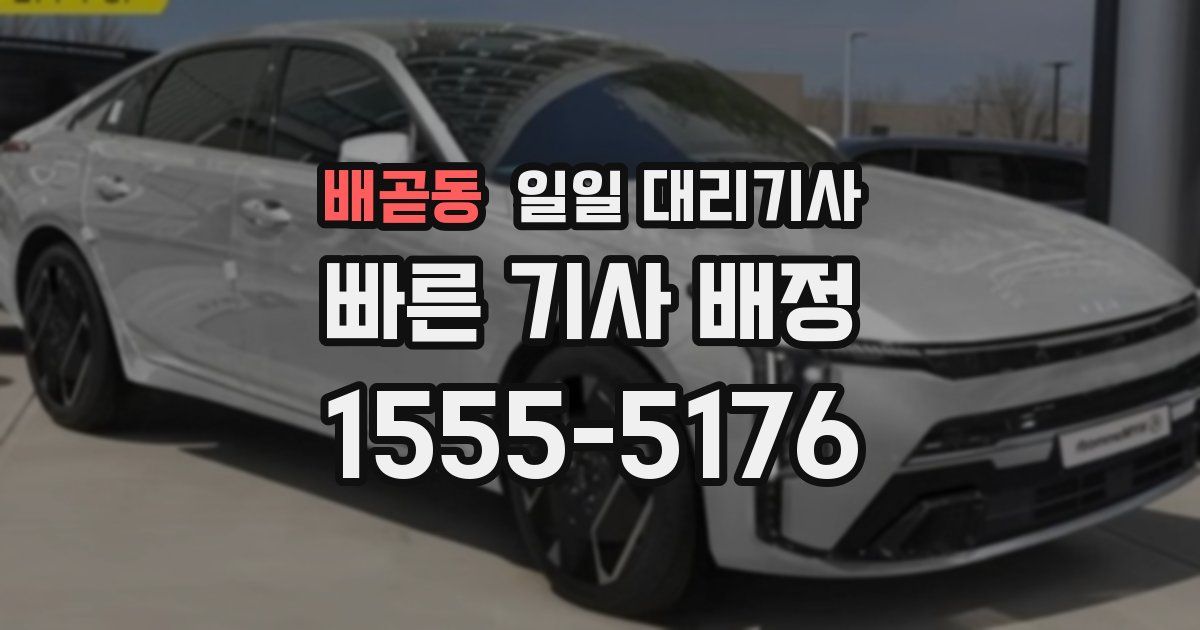 배곧동 일일 대리기사