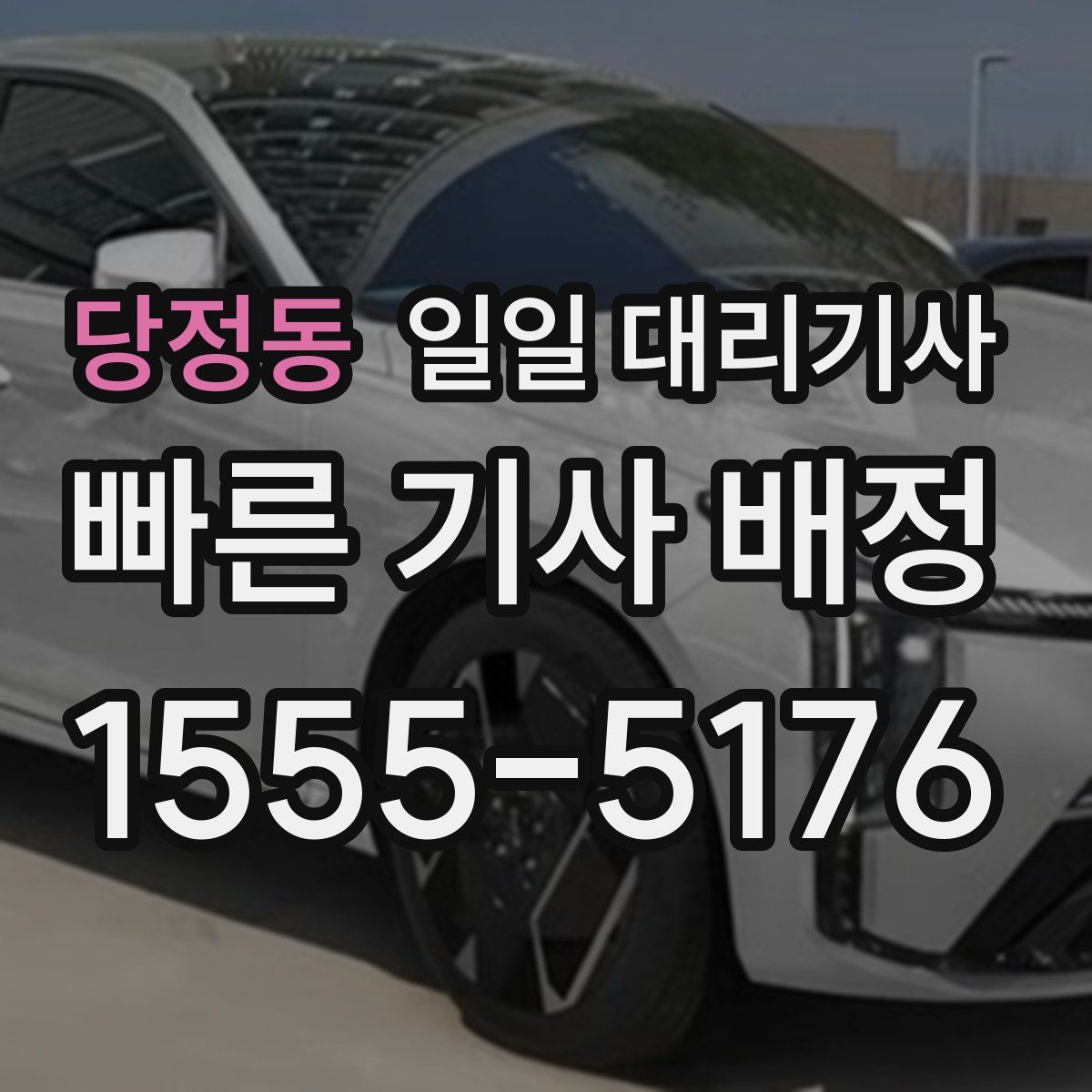 당정동 일일 대리기사