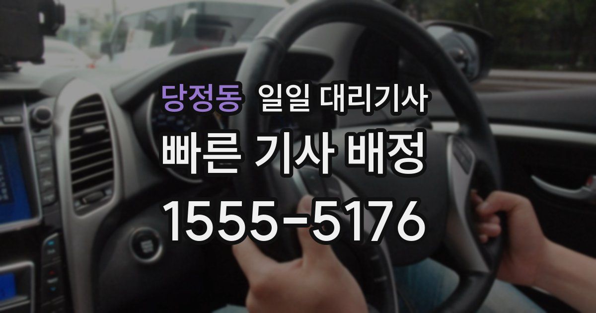 당정동 일일 대리기사