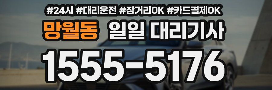 망월동 일일 대리기사