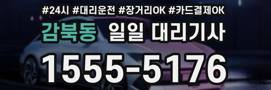 감북동 일일 대리기사