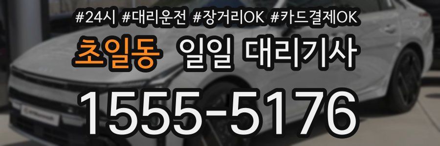 초일동 일일 대리기사