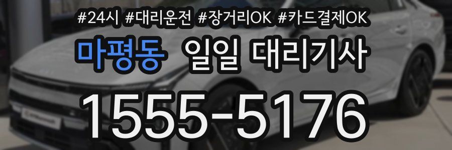 마평동 일일 대리기사