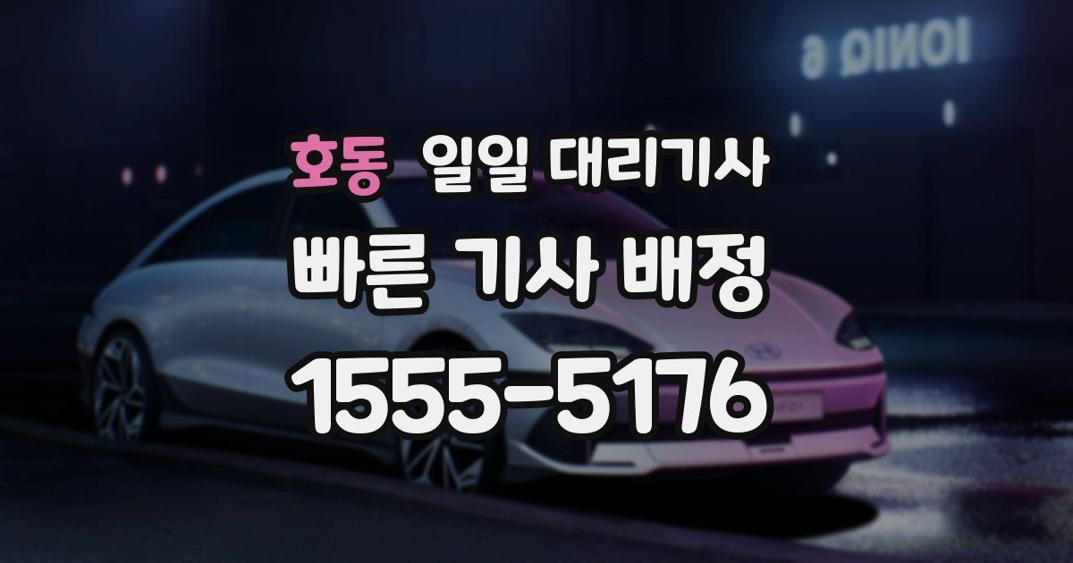 호동 일일 대리기사