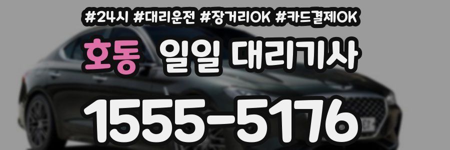 호동 일일 대리기사