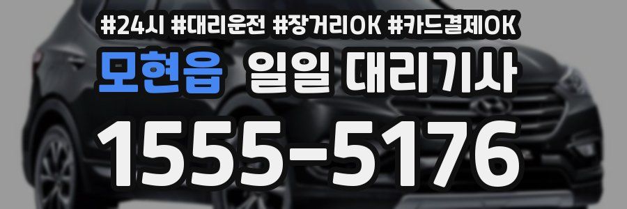 모현읍 일일 대리기사