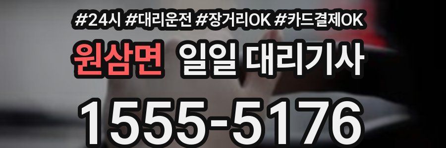 원삼면 일일 대리기사