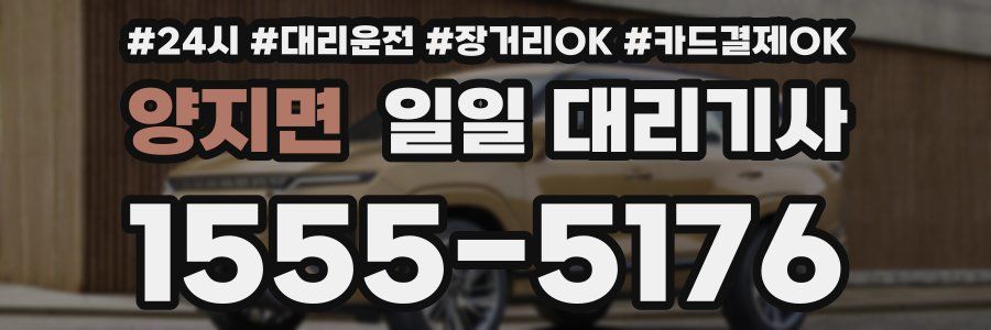 양지면 일일 대리기사