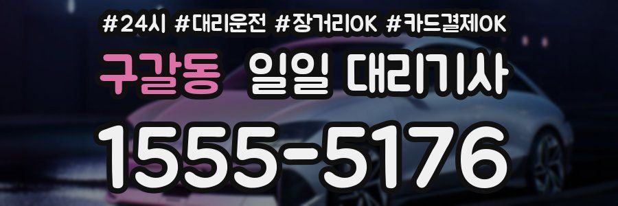 구갈동 일일 대리기사